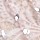 Soft Pink