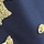 Navygold1