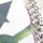 Whitflora1